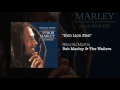 Iron Lion Zion (1995) - Bob Marley & The Wailers