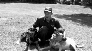 Hank3 about saving animals