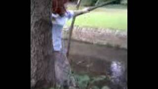 Endcliffe Park Rope Swing