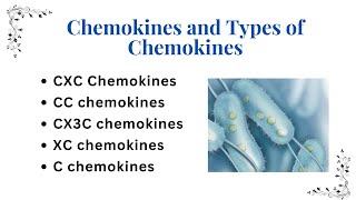 Chemokines and Types of Chemokines | Guyton Academy