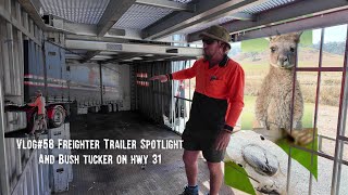 Trucking Vlog#58 Freighter Trailer Spotlight And Bush Tucker On Hwy 31