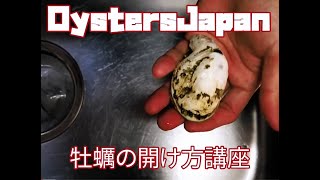 【簡単】牡蠣の開け方【初心者向け】