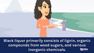 Potential Recovery Processes Extracting Chemicals from Black Liquor in Pulp and Paper Production