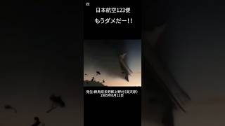 パイロット最後の言葉1#飛行機