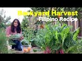 Backyard Leafy Greens on Sauteed Sardines | Filipino Recipe | Urban Garden Harvest