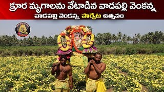 పార్వేట ఉత్సవం | VADAPALLI VENKANNA | PARVETA UTSAVAM | EO VADAPALLI