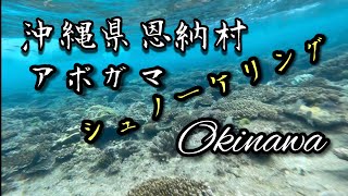 沖縄県恩納村 アポガマの海  シュノーケリング　Okinawa