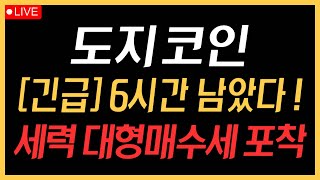 도지코인 - 6시간 남았다! 세력 대형매수세 포착!