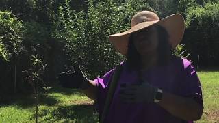 ep1: Our Family Homestead  (black homesteaders off grid)