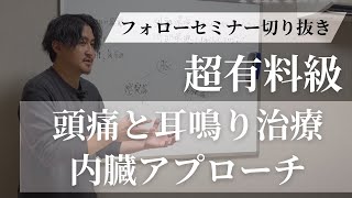 【フォローセミナー後編】頭痛と耳鳴り 内臓治療でどうアプローチする？