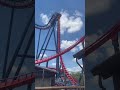 dive sheikra at busch gardens tampa