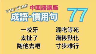 【中級中国語講座】よく使う「成語」と「慣用句」特集・第77回