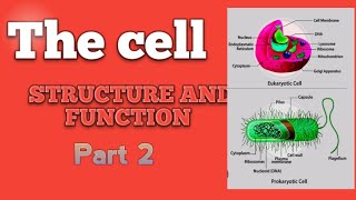 Cell I Structure and function of cell 2 I #biochemistry #mbbs #biology #cell