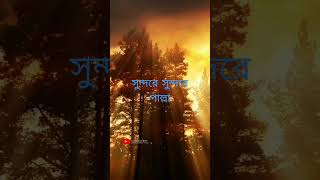 দুনিয়া সুন্দর মানুষ সুন্দর | Dunia Sundor Manush Sundor | Raisha | Bangla Islamic Song