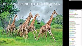 Вебинар Евгения Зверлина «Не откладывайте на «потом»...»