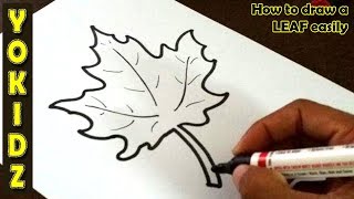 How to draw a LEAF easily