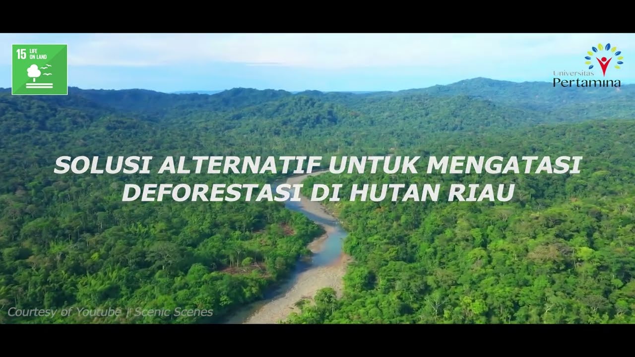 SDG 15: Life On Land - Solusi Alternatif Untuk Mengatasi Deforestasi ...