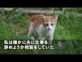 【スカッとする話】嫁いびりが大好きな姑「マズい料理。人間の食べ物じゃないわ」→私「犬のエサみたいな料理、今まで食べさせてすみませんでした。もう作りません」→姑・夫「えっ」