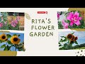 Tour of My Charming Little Flower Garden