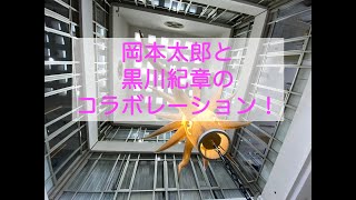 【建築ツアー】寒河江市庁舎　Sagae City Hall