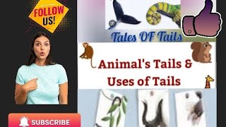 #జంతువులు వాటి  తోకల్ పేరులు # తోకల ఉపయోగాలు #Tales of Tails #Tails  \u0026 uses #tails #SRK Kids Groove