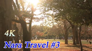 4K【Japan Travel】Nara Travel #3　Mt. Wakakusa