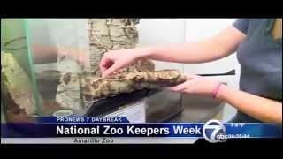 Daybreak crew play with cockroaches at Amarillo Zoo