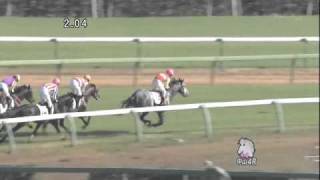 2010年12月5日中山4R障害未勝利 シンボリプロキオン