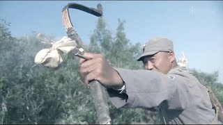 The Chinese Army's masters conquered Japanese gun towers using their homemade bombing arrows