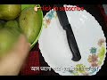 পাকা আম সারাবছর সংরক্ষণ পদ্ধতি aam sharabosor shongrokkhon poddhoti