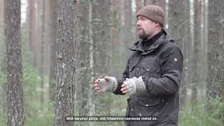 3 - CCF on mineral-rich soils - Specialist, Forester Jussi Saarinen, Silmu Oy