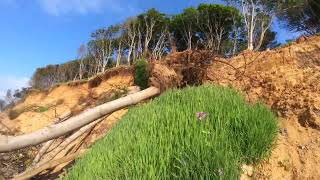 Rapid coastal erosion of Bawdsey Cliff. Suffolk, England. 19 May 2024