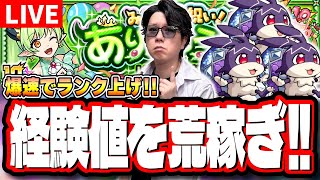 【🔴モンストLIVE】「けいウサ」を乱獲して経験値ガッポリ稼いでいく!! 超簡単に攻略できる編成は⁉  情報交換しましょう!!【リドーラ姫】