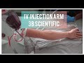 IV Injection Arm | 3B Scientific |