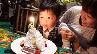 【2歳】ロウソクを吹けない息子、レインフォレストカフェで誕生日会！　～2nd birthday at RainforestCafe～