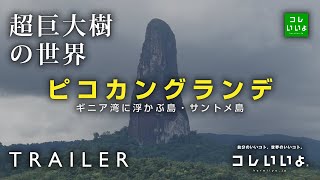 『超巨大樹の世界・予告』ピコカングランデ（ギニア湾に浮かぶ島・サントメ島）　コレいいよ.JP