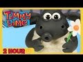 2 Hour Compilation | Episodes 1-20 | Timmy Time