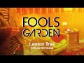 Fools Garden - Lemon Tree (Official HD Video)