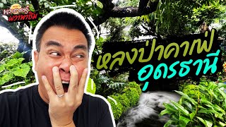 ผวาพาชิม : EP05 หลงป่าคาเฟ่!! อุดรธานี | Toffy Jully