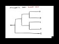 reading phylogenetic trees all about sister taxa monophyletic groups parsimony