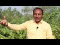 17 फलों का ऑर्गेनिक बागवानी मॉडल ऐसे लगाएं होगी अच्छी आमदनी multi layer organic orchard