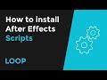 How to install After Effects scripts [EASY]