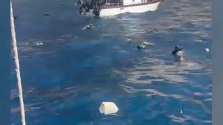 Naufragio Lampedusa: le immagini dei soccorsi fatti dai turisti e lampedusani