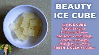 ഈ  Ice Cube  മതി മുഖം എന്നും Fresh ആയി ഇരിക്കാൻ|IceCube Face Magic💯