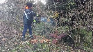 Cutting with McCulloch CS 340 Chainsaw.