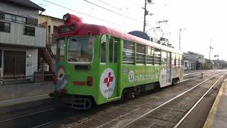 とさでん　路面電車　通勤　サツキが満開　蛍橋電停周辺　2022/04/20