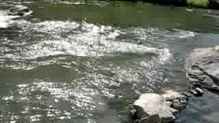 snively hot springs on owyhee river