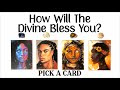 PICK A CARD 🩷 How Will The Divine Bless You?