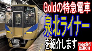 ゴールドの特急電車　泉北ライナーを紹介します