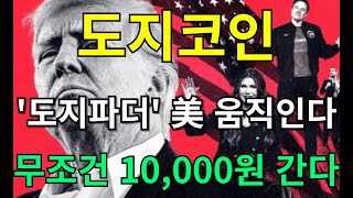 [ 도지코인 전망 ] '도지파터' 美 움직인다 ( 무조건 10,000원 간다 )